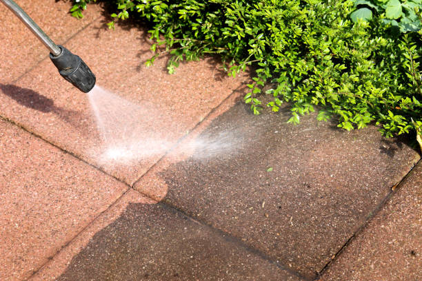 Best Exterior Home Cleaning  in Pebble Creek, FL